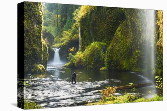 Punchbowl Falls in Eagle Creek, Columbia Gorge, Oregon, USA-Gary Luhm-Premier Image Canvas