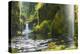 Punchbowl Falls in Eagle Creek, Columbia Gorge, Oregon, USA-Gary Luhm-Premier Image Canvas