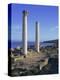 Punic/Roman Ruins of City Founded by Phoenicians in 730 BC, Tharros, Sardinia, Italy, Europe-Sheila Terry-Premier Image Canvas