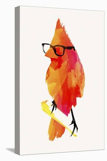 Punk Birdy-Robert Farkas-Premier Image Canvas