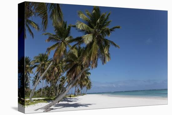 Punta Cana, Dominican Republic, West Indies, Caribbean, Central America-Angelo Cavalli-Premier Image Canvas