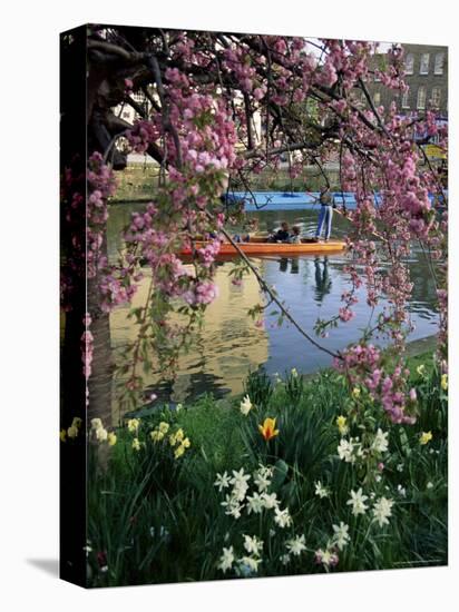 Punting in Spring, Cambridge, Cambridgeshire, England, United Kingdom-Adam Woolfitt-Premier Image Canvas