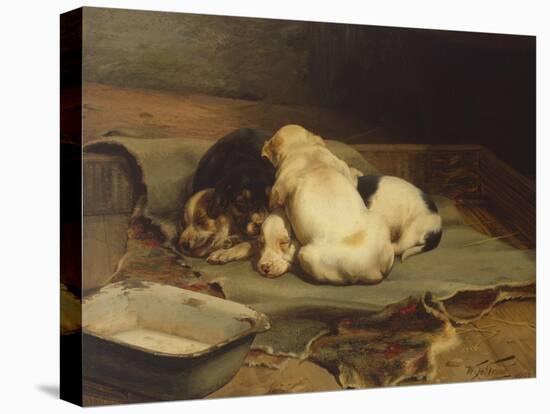 Puppies Sleeping-William Henry Hamilton Trood-Premier Image Canvas