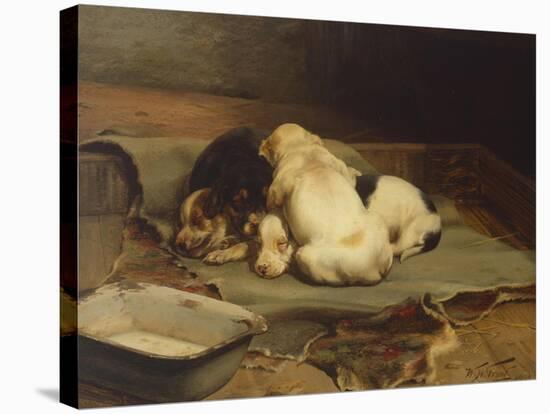 Puppies Sleeping-William Henry Hamilton Trood-Premier Image Canvas