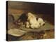 Puppies Sleeping-William Henry Hamilton Trood-Premier Image Canvas