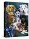 Puppies-Jenny Newland-Premier Image Canvas