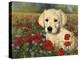 Puppy And Poppies-Bill Makinson-Premier Image Canvas