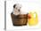 Puppy Bath Time - English Bulldog Puppy In Wooden Wash Basin With Soap Suds And Rubber Duck-Willee Cole-Premier Image Canvas