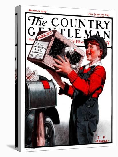 "Puppy by Parcel Post," Country Gentleman Cover, March 15, 1924-J.F. Kernan-Premier Image Canvas