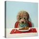 Puppy Chow-Lucia Heffernan-Stretched Canvas