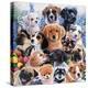 Puppy Collage-Jenny Newland-Premier Image Canvas