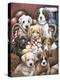 Puppy Pals-Jenny Newland-Premier Image Canvas