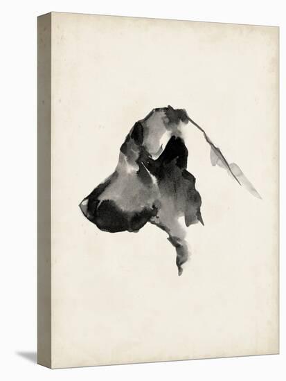 Puppy Profile II-Ethan Harper-Stretched Canvas