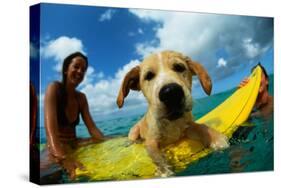 Puppy Riding on Surfboard-Rick Doyle-Premier Image Canvas