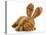 Puppy Wearing Bunny Ears - Dog De Bordeaux Wearing Easter Bunny Ears on White Background-Willee Cole-Premier Image Canvas