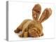 Puppy Wearing Bunny Ears - Dog De Bordeaux Wearing Easter Bunny Ears on White Background-Willee Cole-Premier Image Canvas