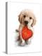 Puppy with Red Heart-MAKIKO-Premier Image Canvas