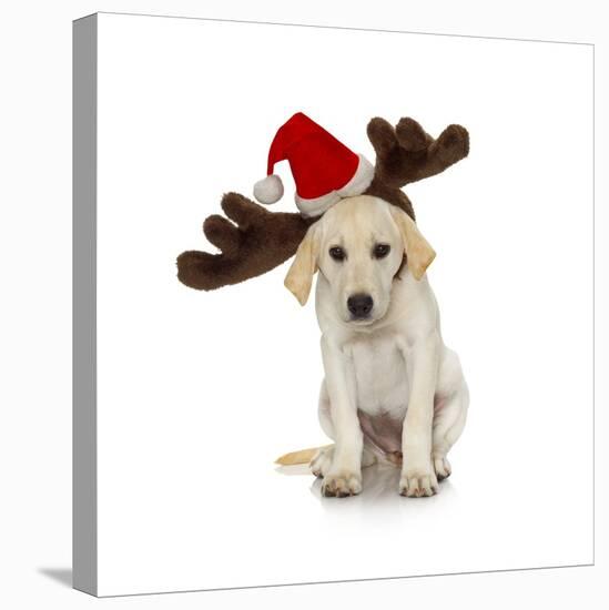 Puppy with Santa Hat and Reindeer Ears-Lew Robertson-Premier Image Canvas