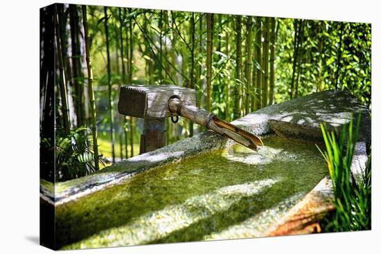 Pure Bamboo Spring-George Oze-Premier Image Canvas