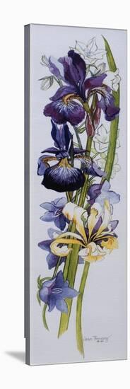 Purple and Yellow Irises with White and Mauve Campanulas,2013-Joan Thewsey-Premier Image Canvas