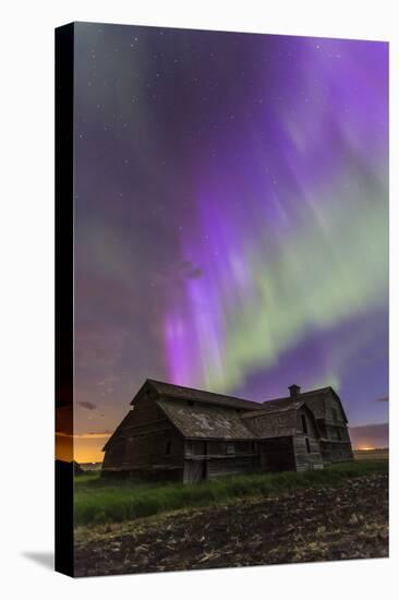 Purple Aurora over an Old Barn in Southern Alberta, Canada-Stocktrek Images-Premier Image Canvas