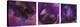Purple Bearded Iris Triptych-Anna Miller-Premier Image Canvas