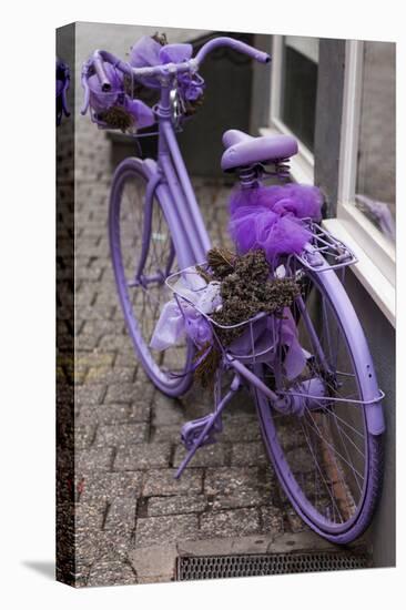 Purple bicycle on street, Limburg an der Lahn, Hesse, Germany-null-Premier Image Canvas