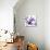Purple Blossom-null-Premier Image Canvas displayed on a wall