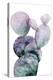 Purple Cactus I-Grace Popp-Stretched Canvas