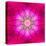 Purple Concentric Flower Center: Mandala Kaleidoscopic Design-tr3gi-Stretched Canvas