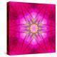 Purple Concentric Flower Center: Mandala Kaleidoscopic Design-tr3gi-Stretched Canvas