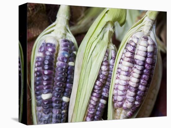 Purple Corn Displayed in Market, Cuzco, Peru-Merrill Images-Premier Image Canvas