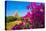 Purple flower of bougainvillea with pagoda in background, Old Bagan (Pagan),  Myanmar (Burma)-Jan Miracky-Premier Image Canvas