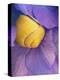 Purple flower with yellow snail.-Merrill Images-Premier Image Canvas