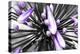 Purple Flower-PhotoINC-Premier Image Canvas