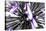 Purple Flower-PhotoINC-Premier Image Canvas