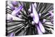 Purple Flower-PhotoINC-Premier Image Canvas