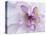 Purple Flower-Michele Westmorland-Premier Image Canvas