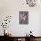 Purple Flower-Den Reader-Premier Image Canvas displayed on a wall