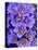 Purple Flowers-Art Wolfe-Premier Image Canvas