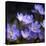 Purple Flowers-null-Premier Image Canvas
