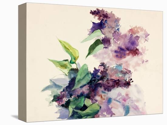 Purple Flowers-Boyan Dimitrov-Stretched Canvas