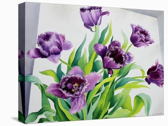 Purple Fringe Tulips-Christopher Ryland-Premier Image Canvas