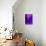 Purple Fuschia Blue Wrap-Ruth Palmer-Stretched Canvas displayed on a wall