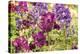Purple Garden I-Maureen Love-Premier Image Canvas