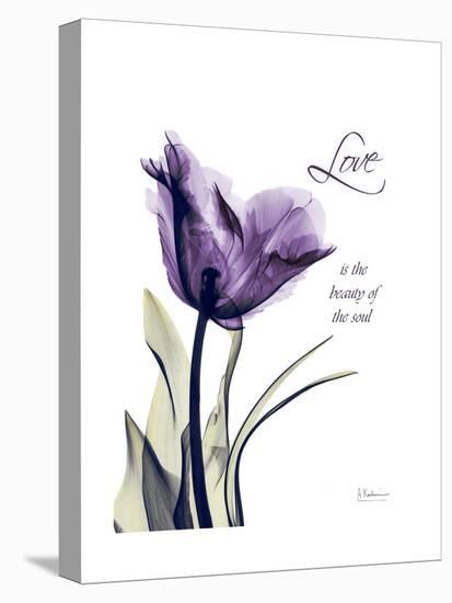 Purple Gentian Love-Albert Koetsier-Stretched Canvas
