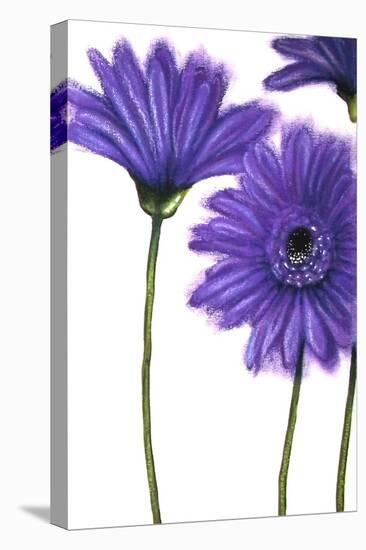 Purple Gerberas 1-Cherie Roe Dirksen-Premier Image Canvas