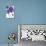 Purple Gerberas 2-Cherie Roe Dirksen-Premier Image Canvas displayed on a wall