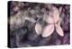 Purple Hydrangea-Judy Stalus-Premier Image Canvas