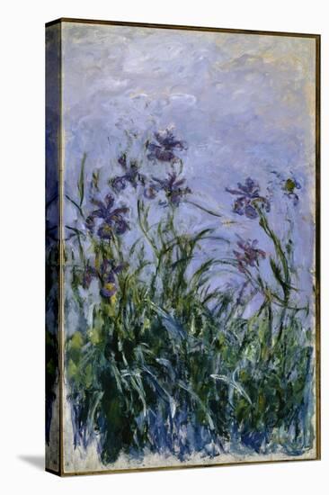 Purple Irises, 1914-17-Claude Monet-Premier Image Canvas